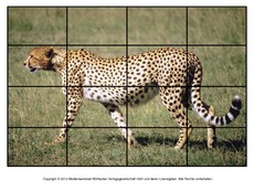 Puzzle-Gepard.pdf
